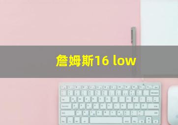 詹姆斯16 low